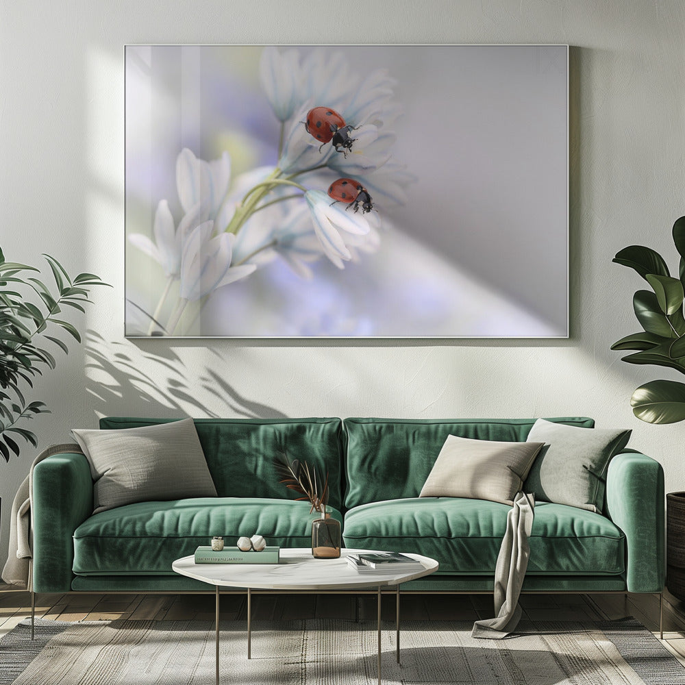 Wall art Ladybirds