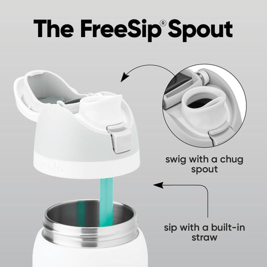 Owala FreeSip Insulated Stainless Steel Water Bottle with Straw, BPA-Free Sports Water Bottle, Great for Travel, 24 Oz, Crown Jewel 🍁 All In One Marketplace Canada