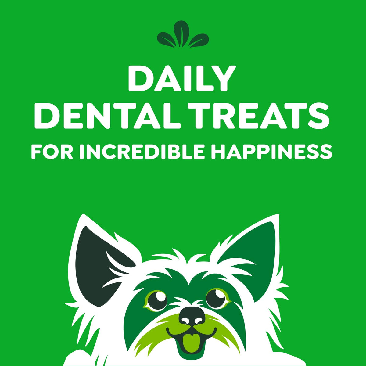Greenies Adult Dog Treats, 765g 🍁 All In One Marketplace Canada