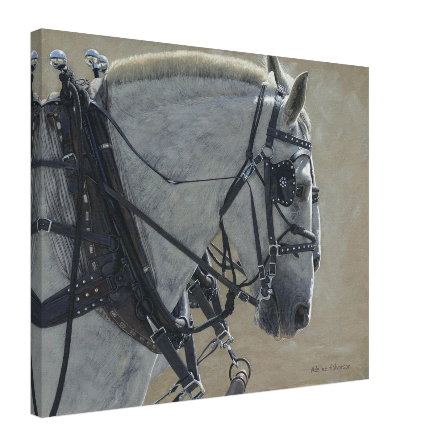 STEADY Canvas Print