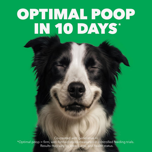 IAMS Proactive Health Minichunks Dry Dog Food – Crunchy Kibble for Adult Dogs – Chicken & Whole Grain Recipe – 13.61KG (30LB) Bag 🍁 All In One Marketplace Canada