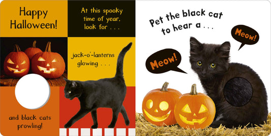 Noisy Halloween: My First Touch and Feel Sound Book