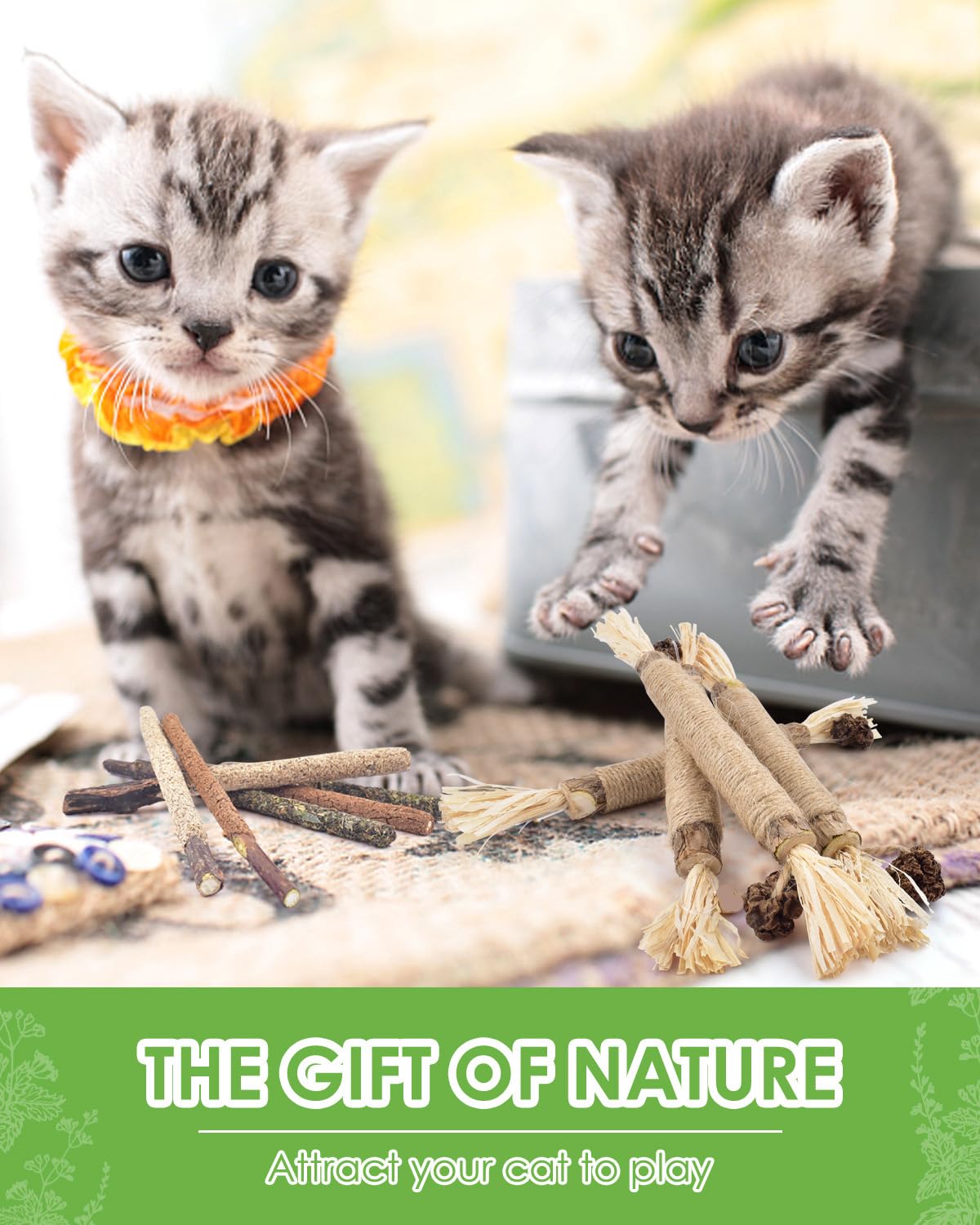 TINDTOP Silvervine Sticks for Cats, 10 Pack Natural Catnip Chew Toys for Kittens Teeth Cleaning, Matatabi Dental Care, Increase Appetite, Calm Cat Anxiety and Stress, Aggressive Chewers Cat Dental Toy đ All In One Marketplace Canada