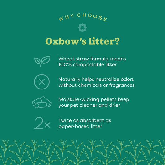 Oxbow Bene Terra Eco-Straw 20-Pound 🍁 All In One Marketplace Canada