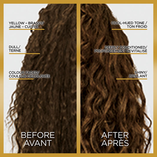 L'Oreal Paris Le Color Gloss One Step Toning Hair Gloss Treatment, Cool Brunette, Enhance Your Shine with this Semi Permanent Hair color, 1 Kit 🍁 All In One Marketplace Canada