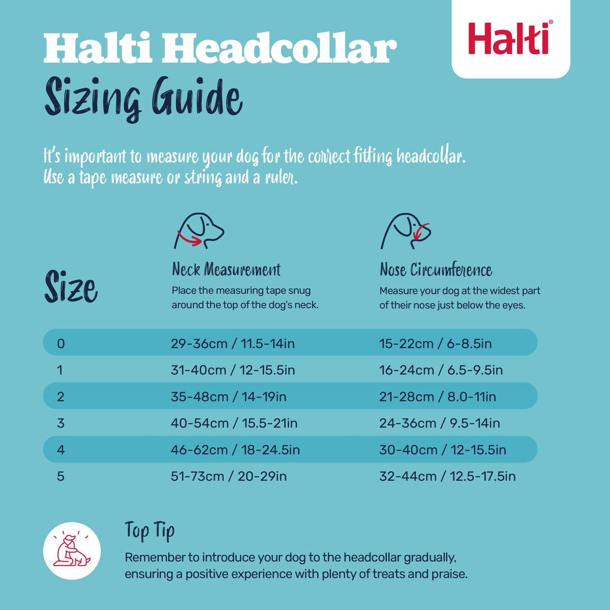 Halti Headcollar - Stop Your Dog Pulling on the Leash. Adjustable, Reflective and Lightweight, with Padded Nose Band. Dog Training Anti-Pull Collar for Medium Dogs (Size 3, Black) 🍁 All In One Marketplace Canada