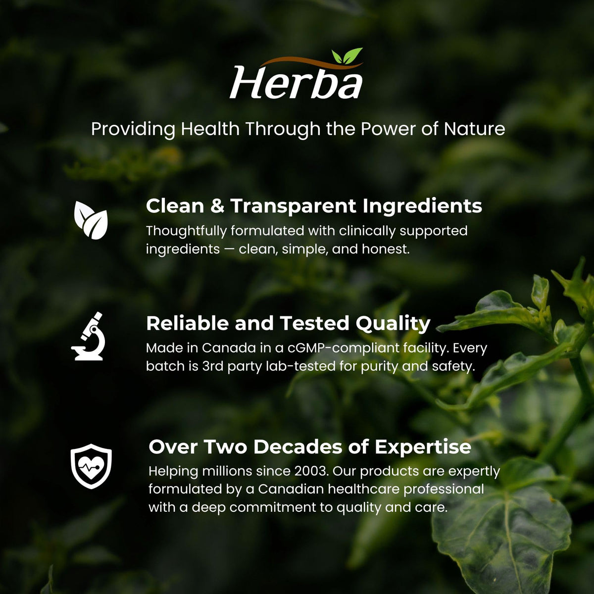 Herba L-Citrulline Capsules 750mg – 180 Capsules | 3,000mg Per Serving | Ultra Pure >98% | L Citrulline Nitric Oxide Supplement | Made & 3rd Party Tested in Canada 🍁 All In One Marketplace Canada