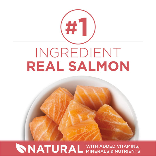Purina ONE +Plus Dry Cat Food, Indoor Advantage Salmon - 3 kg Bag 🍁 All In One Marketplace Canada