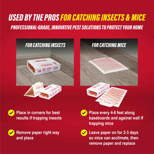 Catchmaster Mouse & Insect Glue Boards 60pk, Mouse Traps Indoor for Home, Adhesive Bug Catcher, Rat & Rodent Sticky Trap, Bulk Glue Traps Used by Pros, Pest Control for Home 🍁 All In One Marketplace Canada