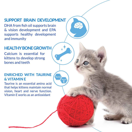 INABA Churu for Kittens, Creamy, Purée Lickable Cat Treats with DHA, EPA, Vitamin E & Taurine, 14 Grams Each, 24 Tubes (4 per Pack), Tuna Recipe 🍁 All In One Marketplace Canada