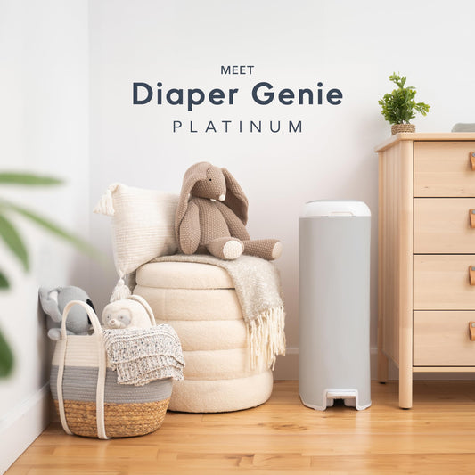 Diaper Genie Platinum Diaper Pail, Stone Grey - Made in Durable Stainless Steel and Includes 1 Easy Roll Refill with 18 Bags 🍁 All In One Marketplace Canada