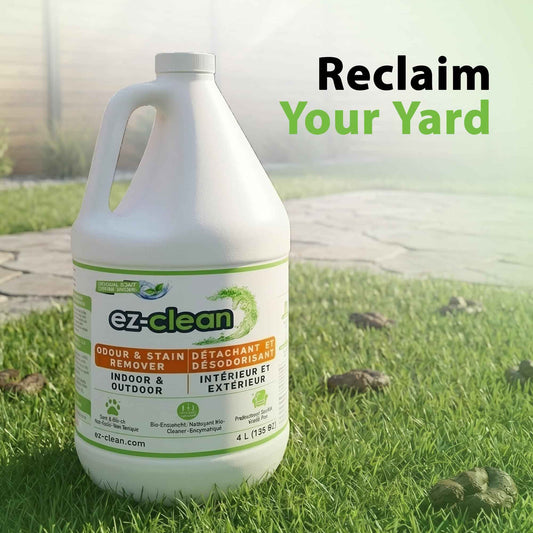 ez-clean Advanced Odor Remover- Highly Concentrated Bio Enzyme - Pet Odor Eliminator for Dog, Cat, and Small Animal Urine - Indoor & Outdoor Use for Any Organic Spills (4L jug) 🍁 All In One Marketplace Canada