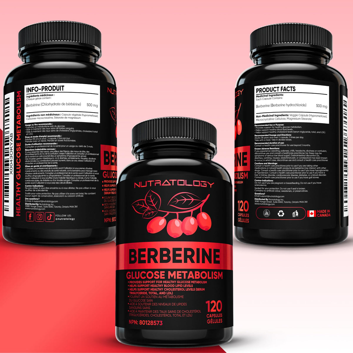 Nutratology® Berberine Supplement | Canadian-Made | Max Potency 500MG Per Capsule - Supports Glucose Metabolism & Healthy Blood Sugar Levels Through Efficient Metabolism Of Sugar & Fats - 120 Capsules 🍁 All In One Marketplace Canada