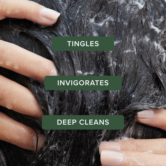 Tea Tree Special Shampoo, Deep Cleans, Refreshes Scalp, For All Hair Types, Especially Oily Hair 🍁 All In One Marketplace Canada