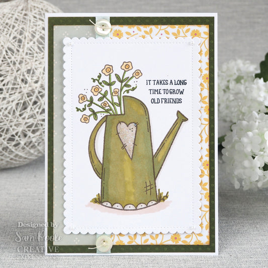 Creative Expressions Sam Poole Friendship Watering Can 6 in x 4 in Clear Stamp Set