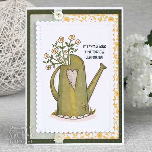 Creative Expressions Sam Poole Friendship Watering Can 6 in x 4 in Clear Stamp Set