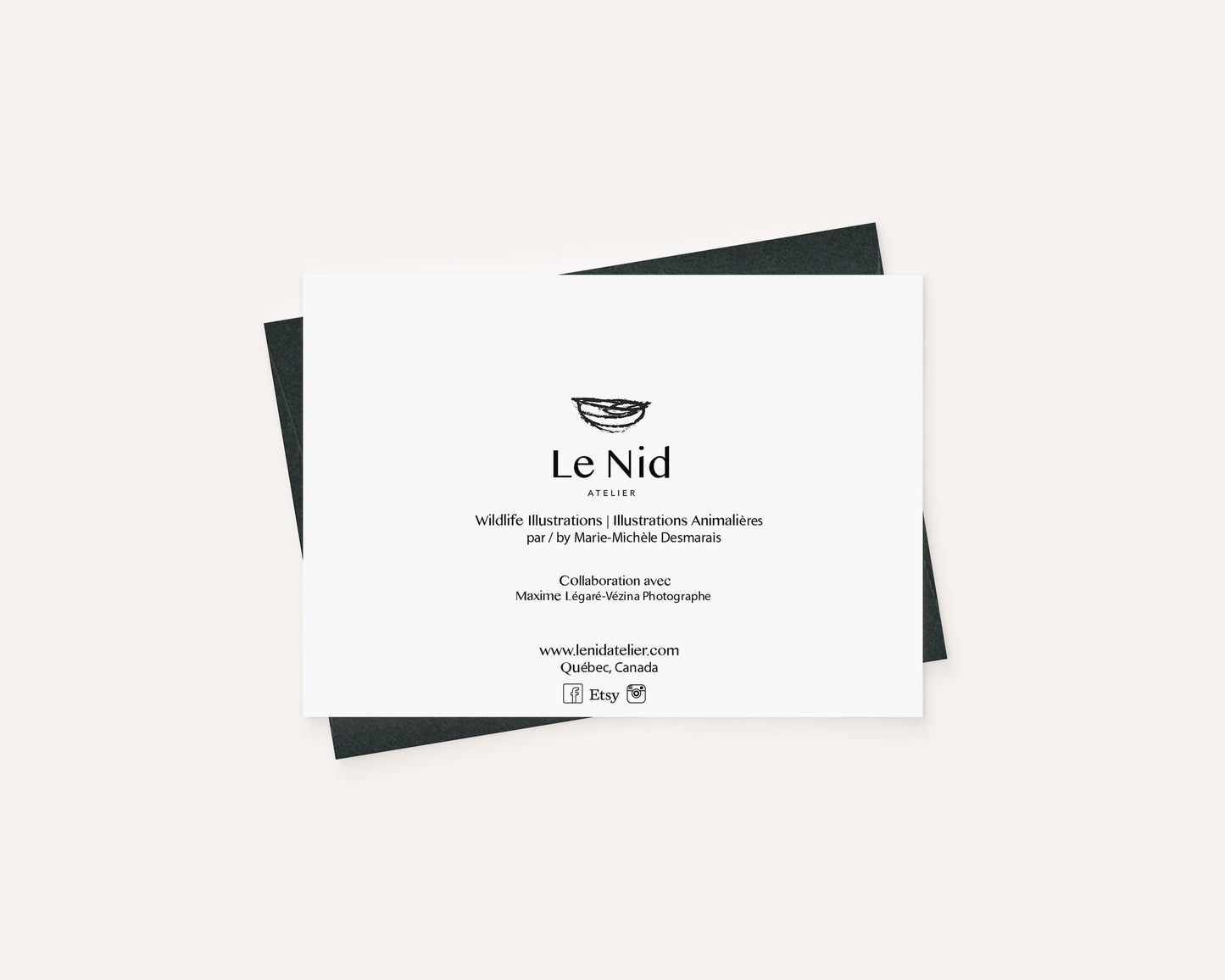 Bald Eagle - greeting card