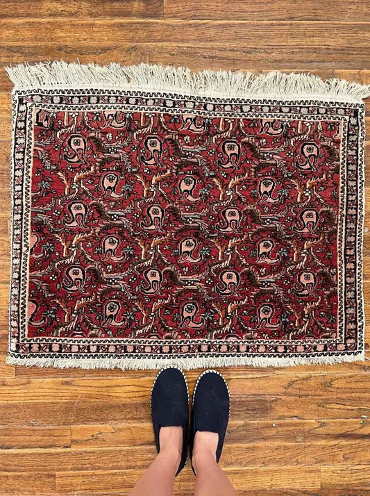Persian Bijar Rug | 2' 2" x 2' 11"