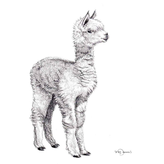 Adorable alpaca - art print