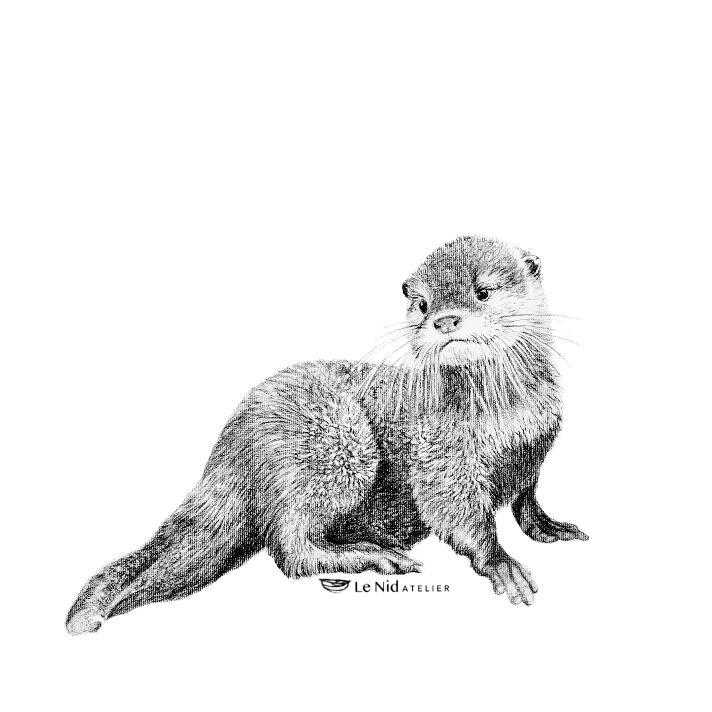 Baby Otter Magnet