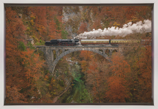 Wall art Museum train