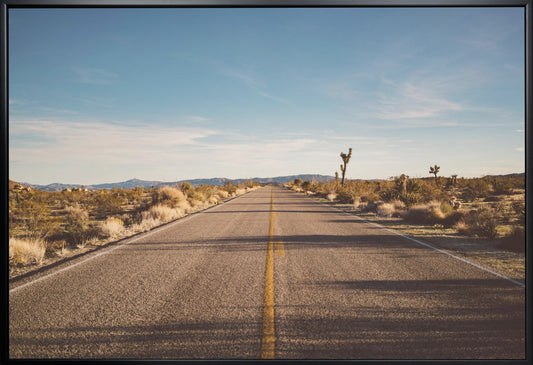 Wall Art Joshua Tree Road