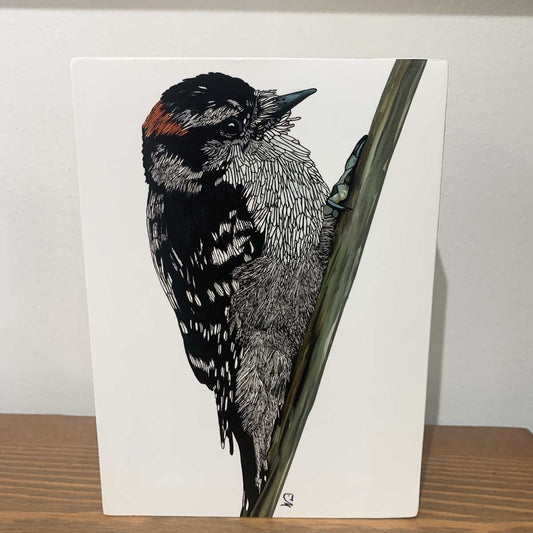 Print on Wood Block - Downy Woodpecker