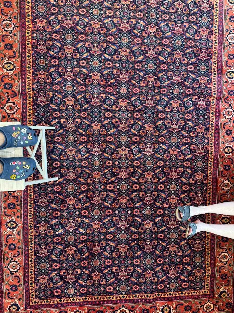 On Hold | Persian Ardabil Rug | 7' 3" x 10' 7"