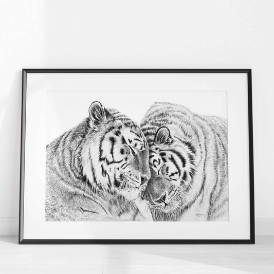 Amur Tigers - wildlife art print - collaboration with La Fondation du Zoo de Granby