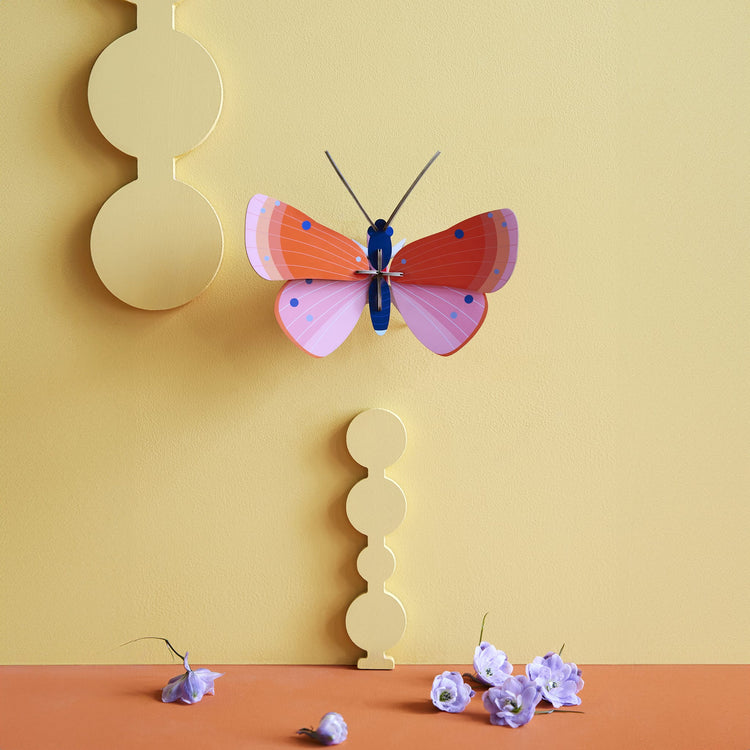 Elegant Decoration & Accessories Collection
