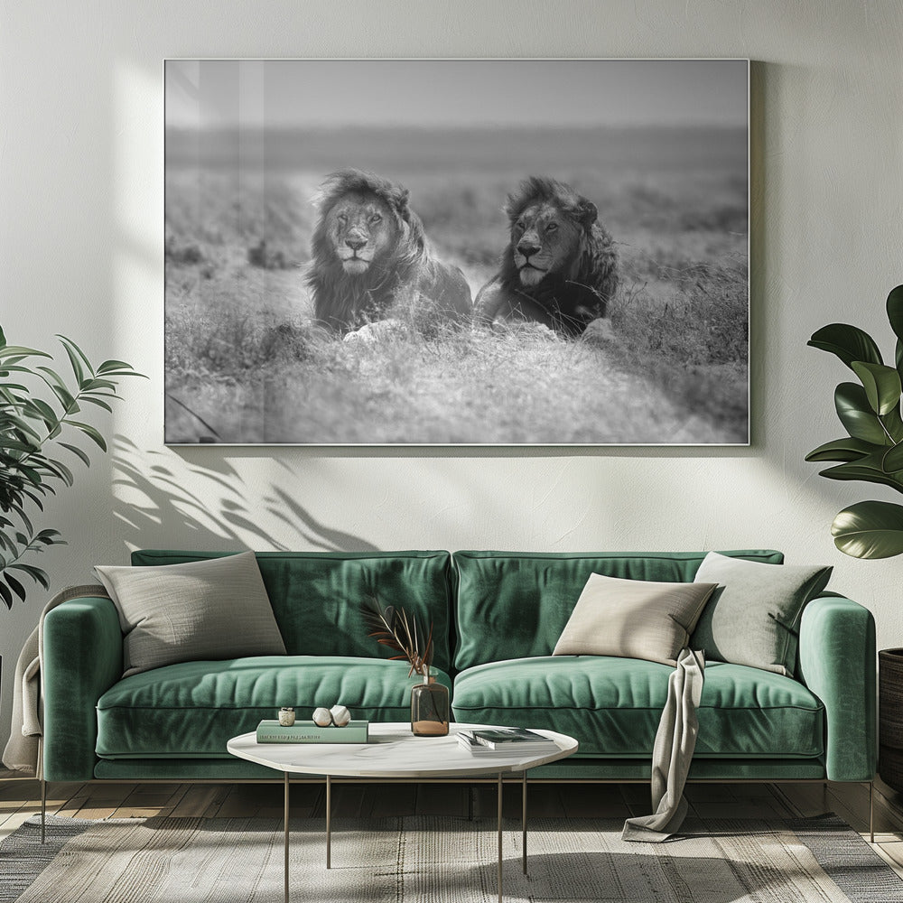 Wall art Two kings