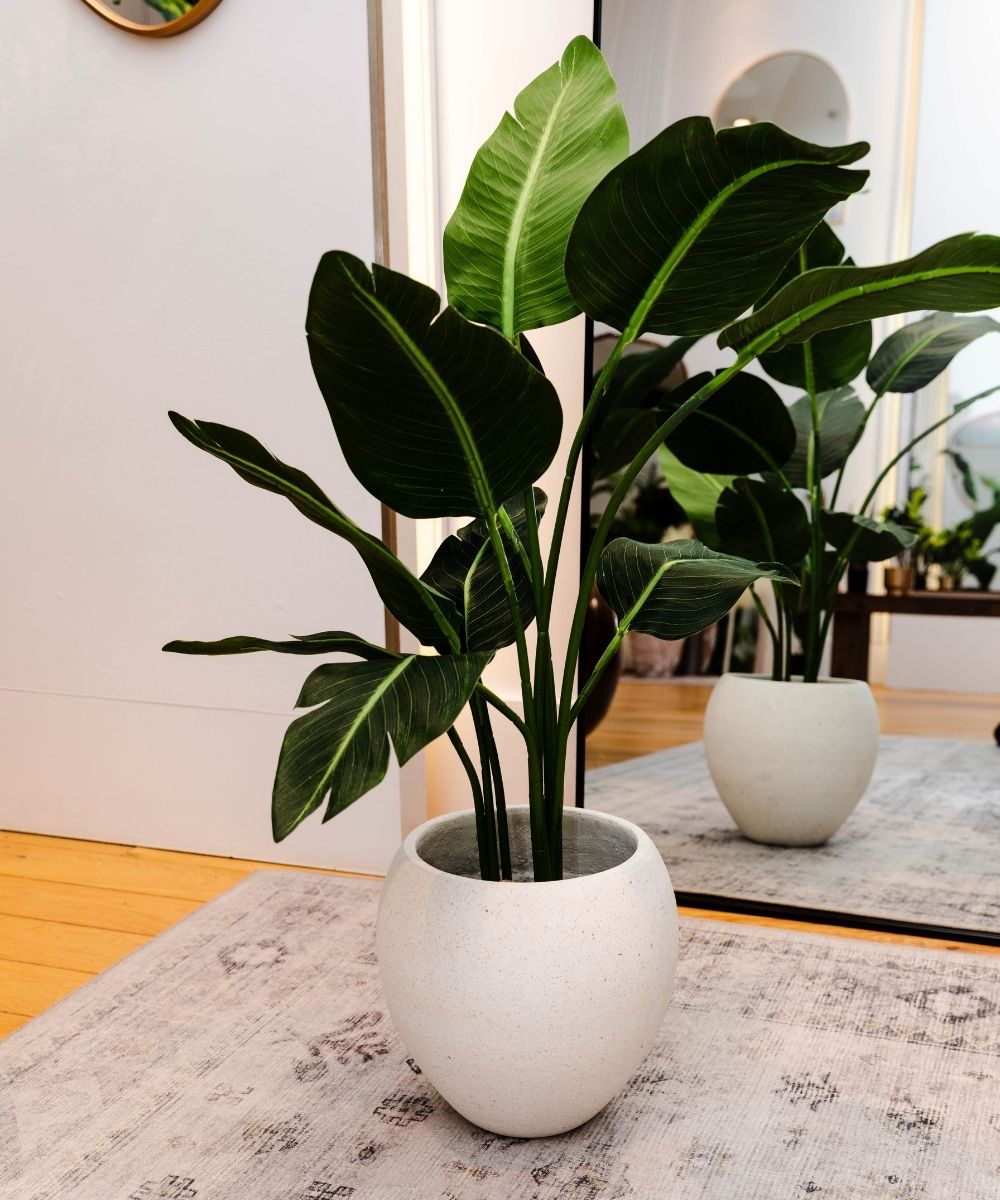 Merida Round Cement Planter (Multiple Sizes)