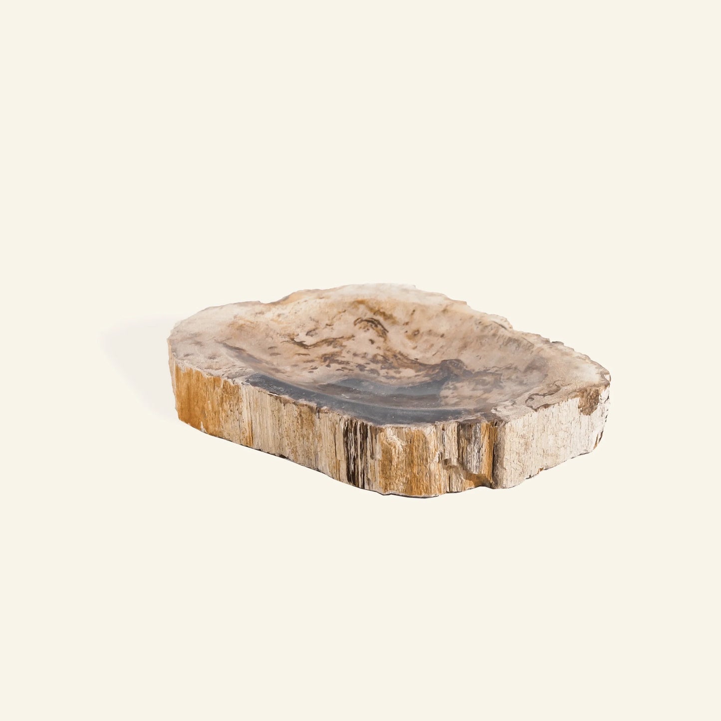 Porte savon en bois pétrifié