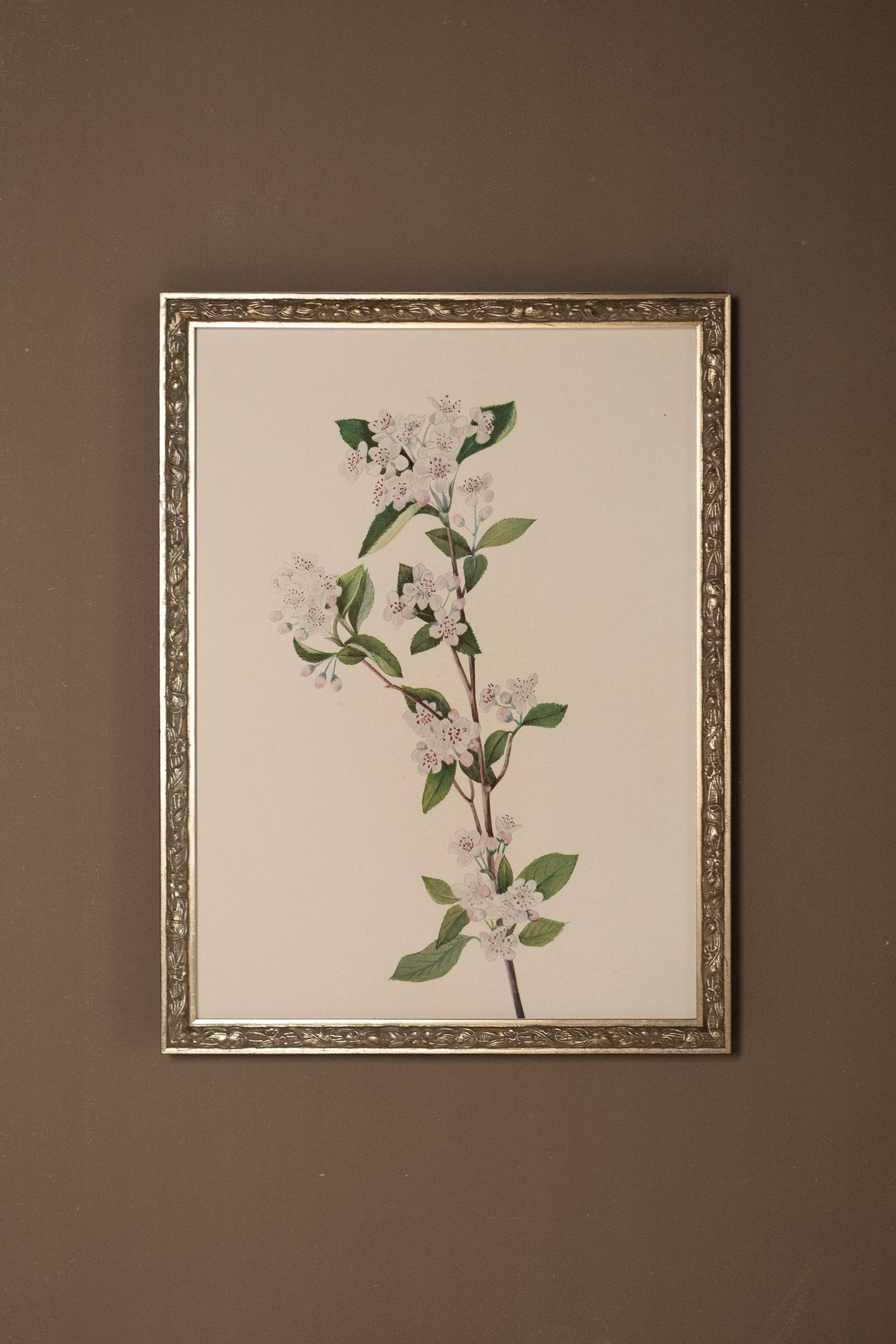 BRANCHE D'ÉPOQUE, CADRE VINTAGE ARGENT
