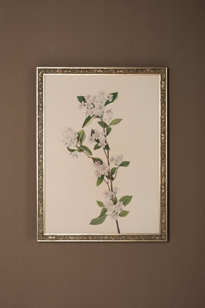 BRANCHE D'ÉPOQUE, CADRE VINTAGE ARGENT