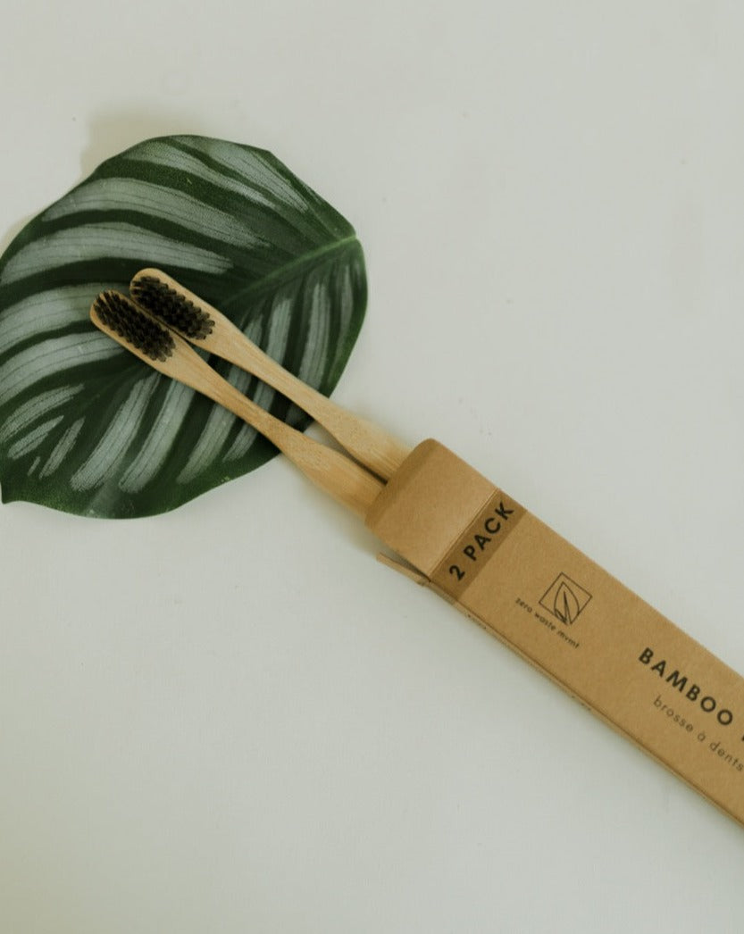 2 Pack Bamboo Toothbrush
