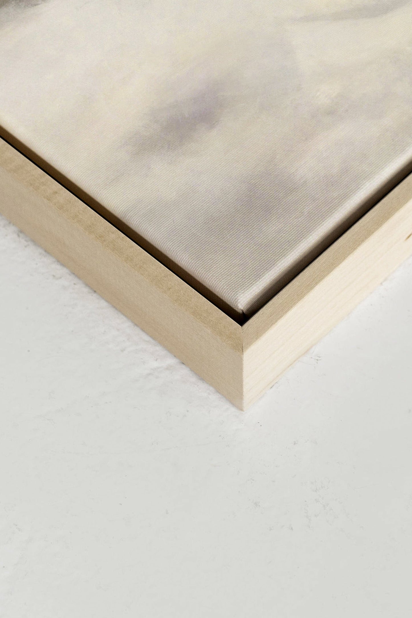 FROST, Oeuvre sur toile étirée