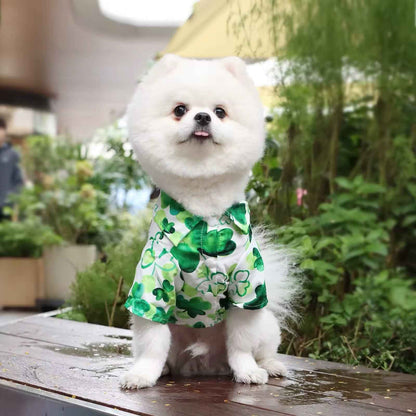 Saint Patrick’s Day Dog Shirt – Festive Holiday Pet Tee