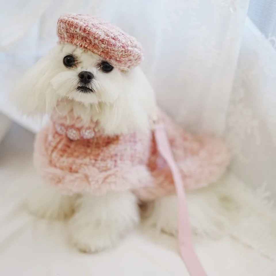 Missy Baby Tweed Dog Set | Classic Coordinated Dog Outfit