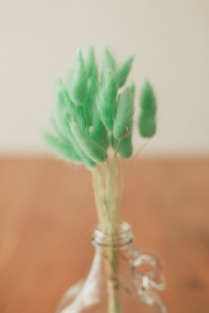 Bunny Tails