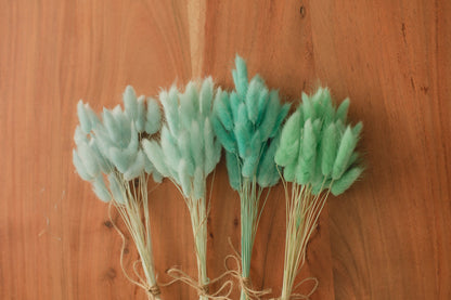 Bunny Tails
