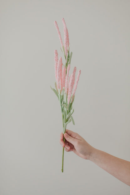Amaranth Flowers