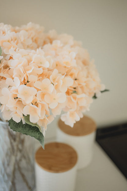 Hydrangea