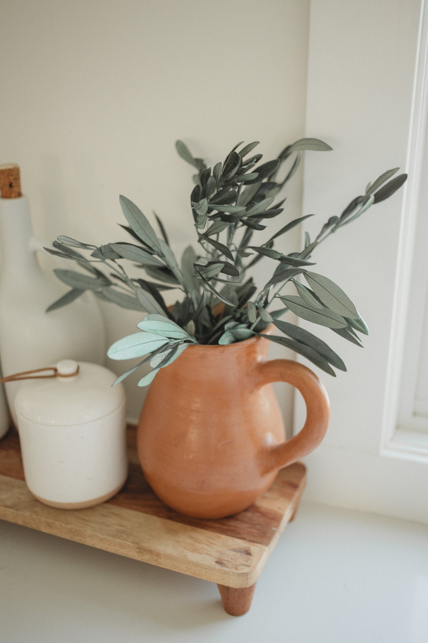Italian Olive Stems