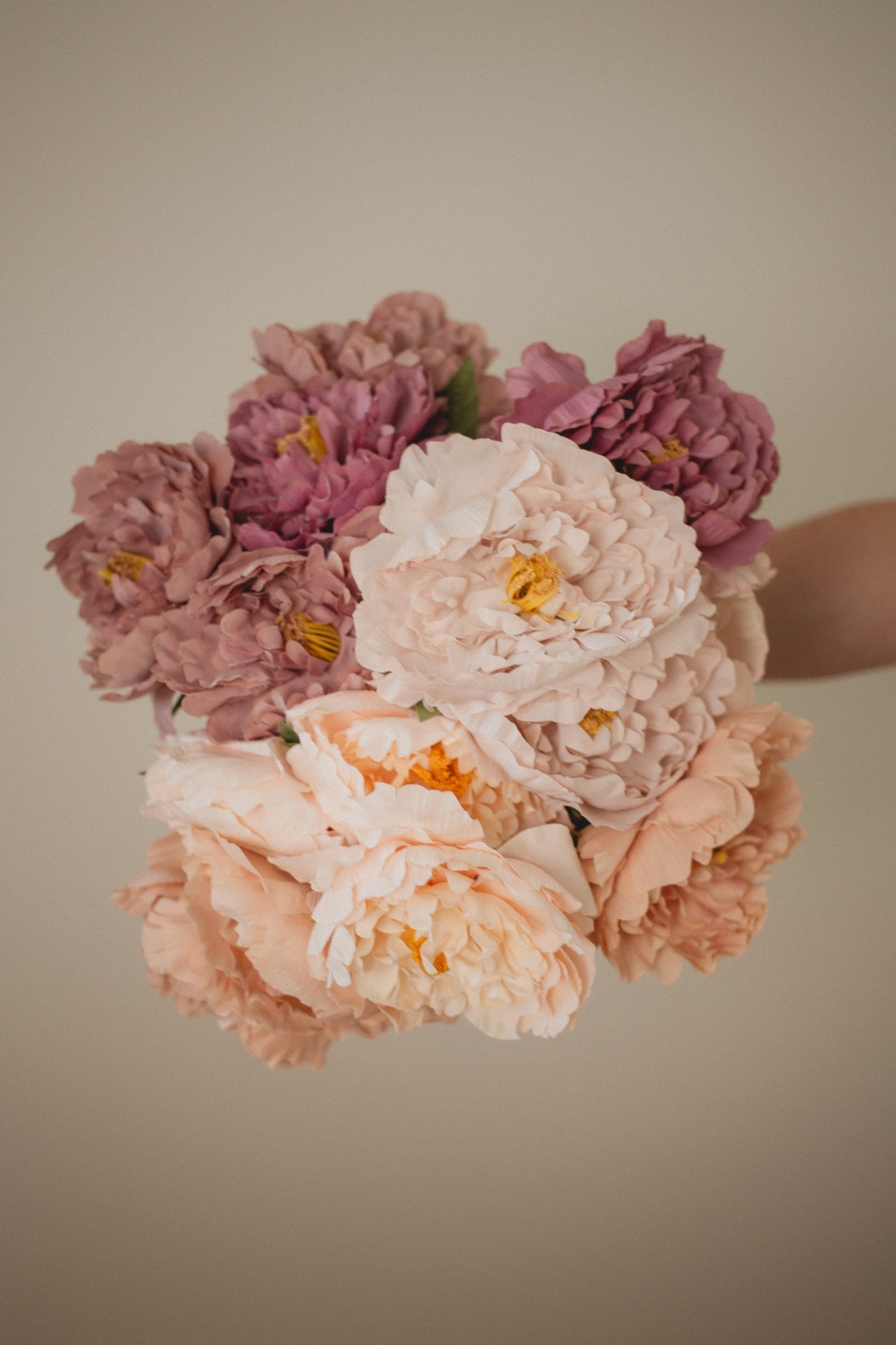 London Peony