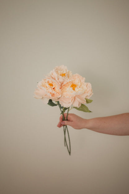London Peony
