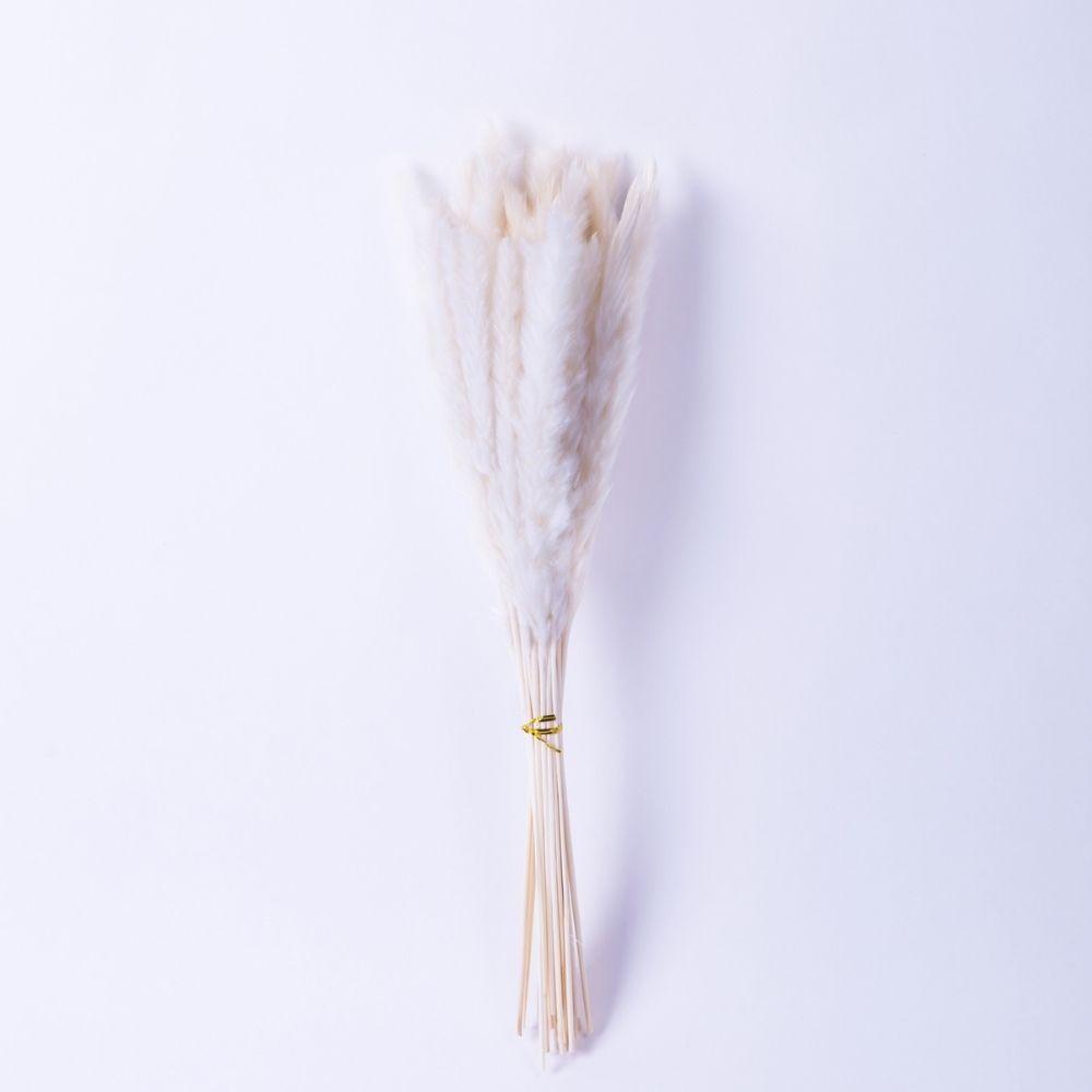 Beige Pampas Bouquet 26'' (Set Of 30)