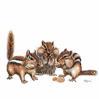 3 Chipmunks -  Colored wildlife art print