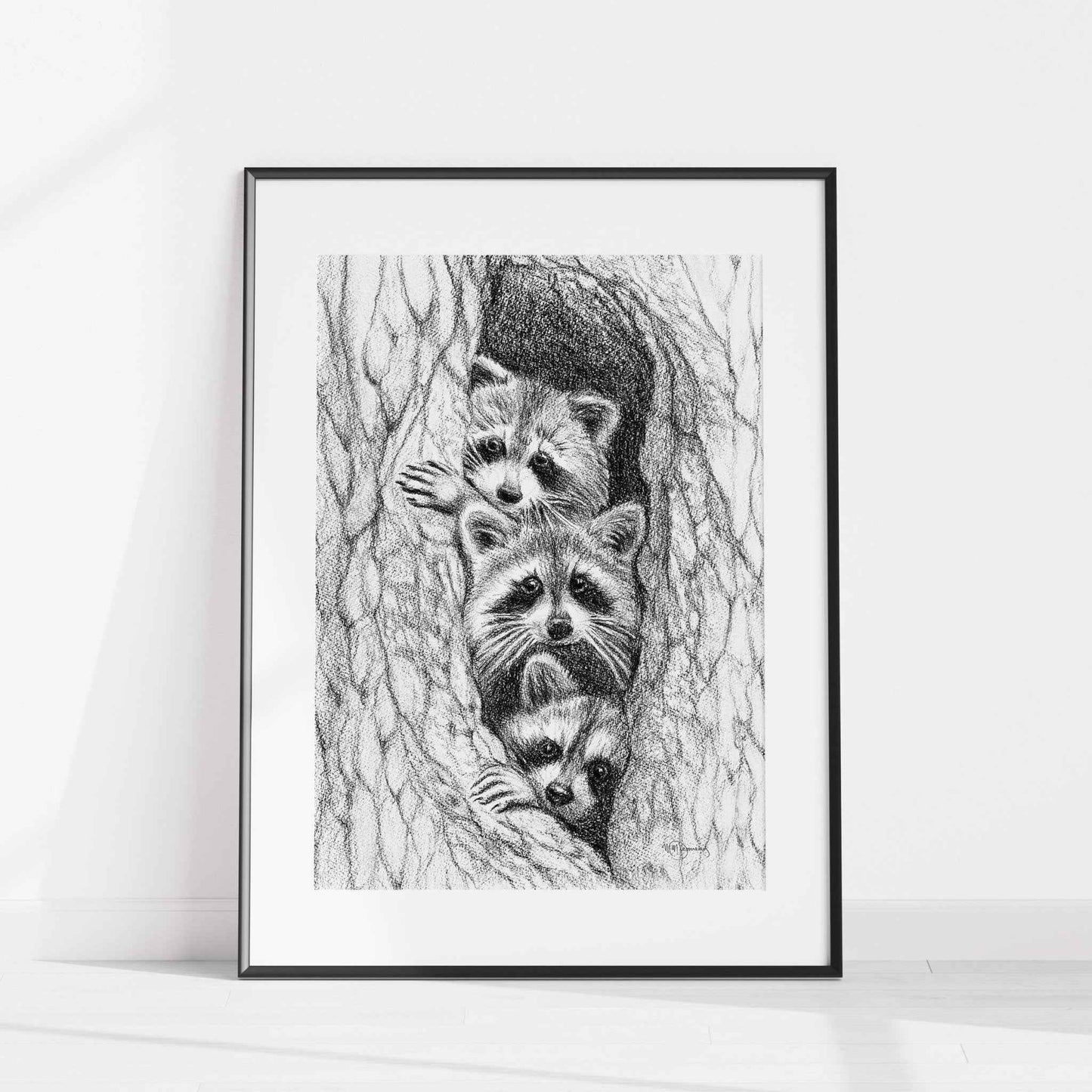 3 Raccoons in a tree - animal art print