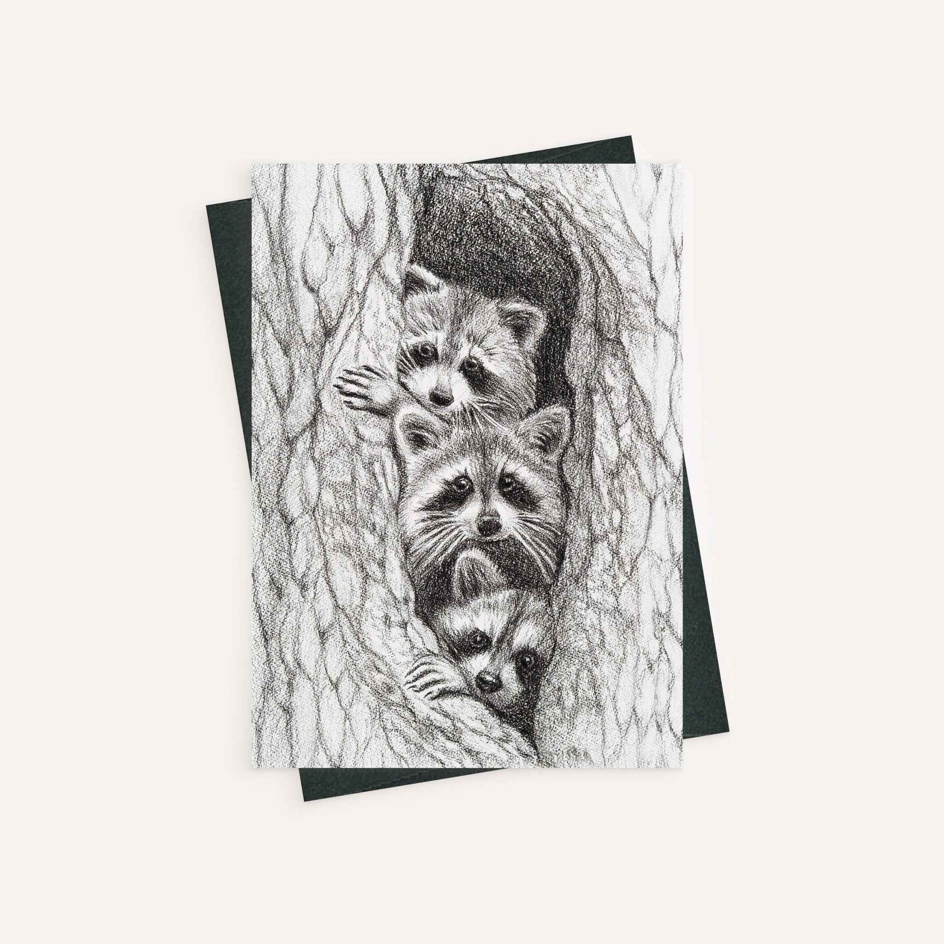 3 Raccoons in a tree - greeting card